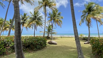 Una playa cerca, toallas de playa