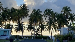 A street lined with palm trees and a view of the ocean at sunset. - Beach Getaway (Punta Santiago ,Humacao)