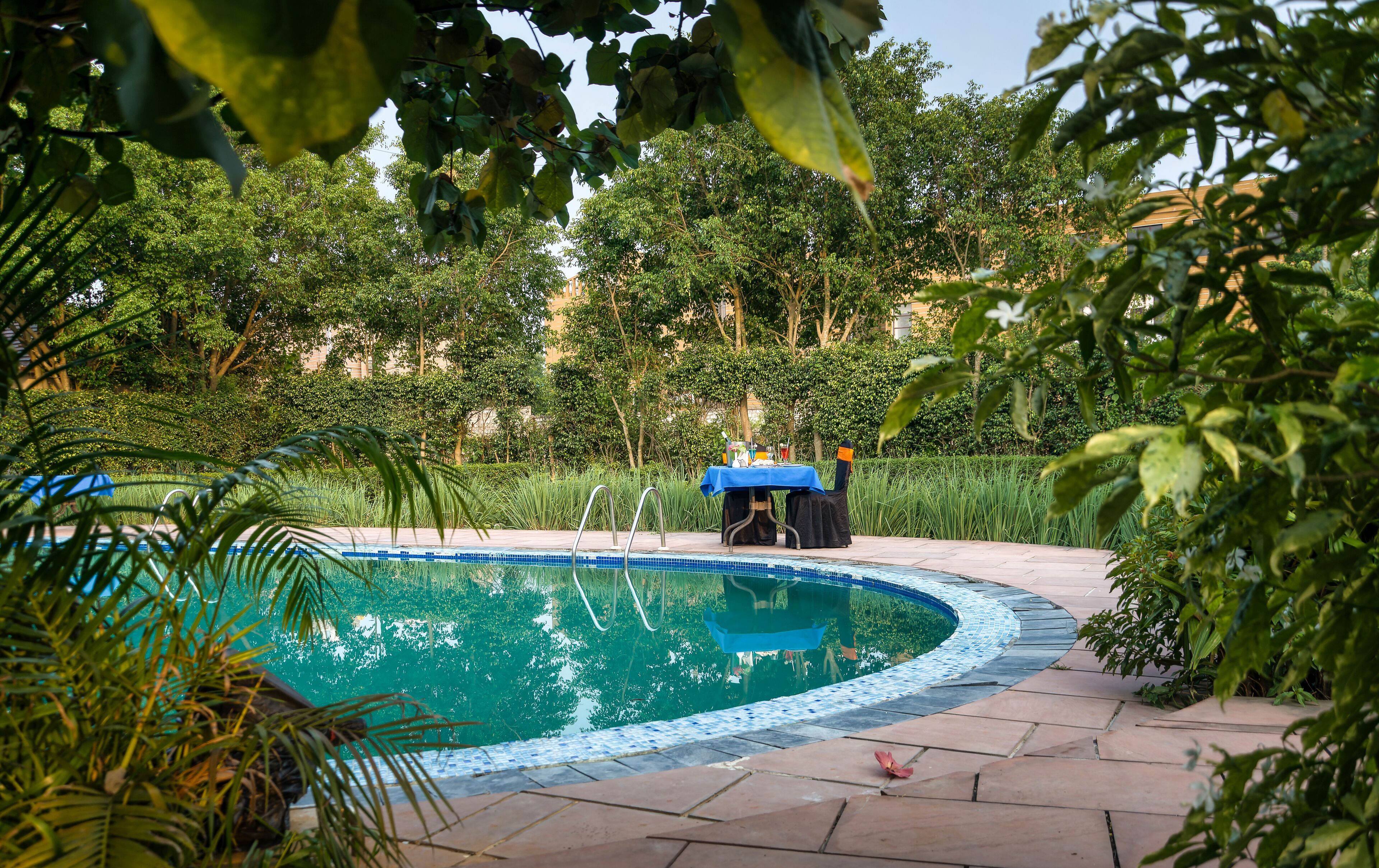 A swimming pool with a blue tiled edge, surrounded by lush greenery and a table with chairs set up for dining.