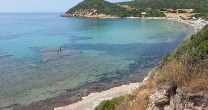 Narcisi cottage in 19th century estate, sea view - Canunget