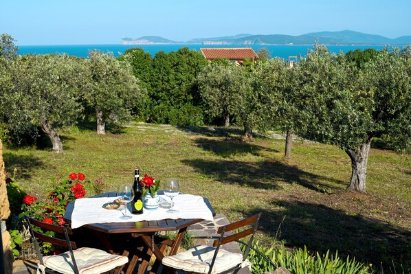 An outdoor dining table with a view of the sea and olive trees.
