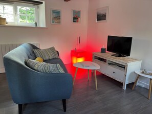 Fernseher, Bücher