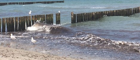 Aan het strand, ligstoelen aan het strand