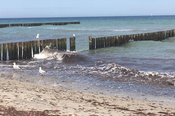 Ubicación a pie de playa y tumbonas