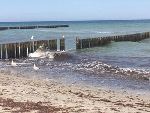 Ein Strand mit hölzernen Wellenbrechern, Wellen und Möwen.