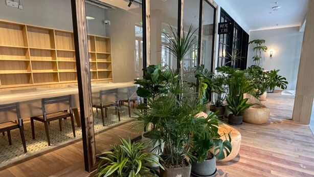 A modern interior with wooden flooring, glass partitions, and potted plants. - Yitel Hotel Shanghai ex Timeless Boutique House (Shanghai)