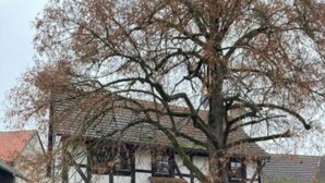 Una casa tradicional de entramado con un gran árbol en primer plano, una valla de madera y un camino pavimentado.