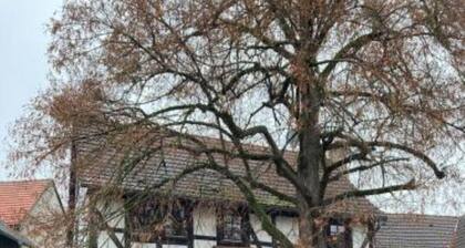 Half-timbered house in Bergfreiheit