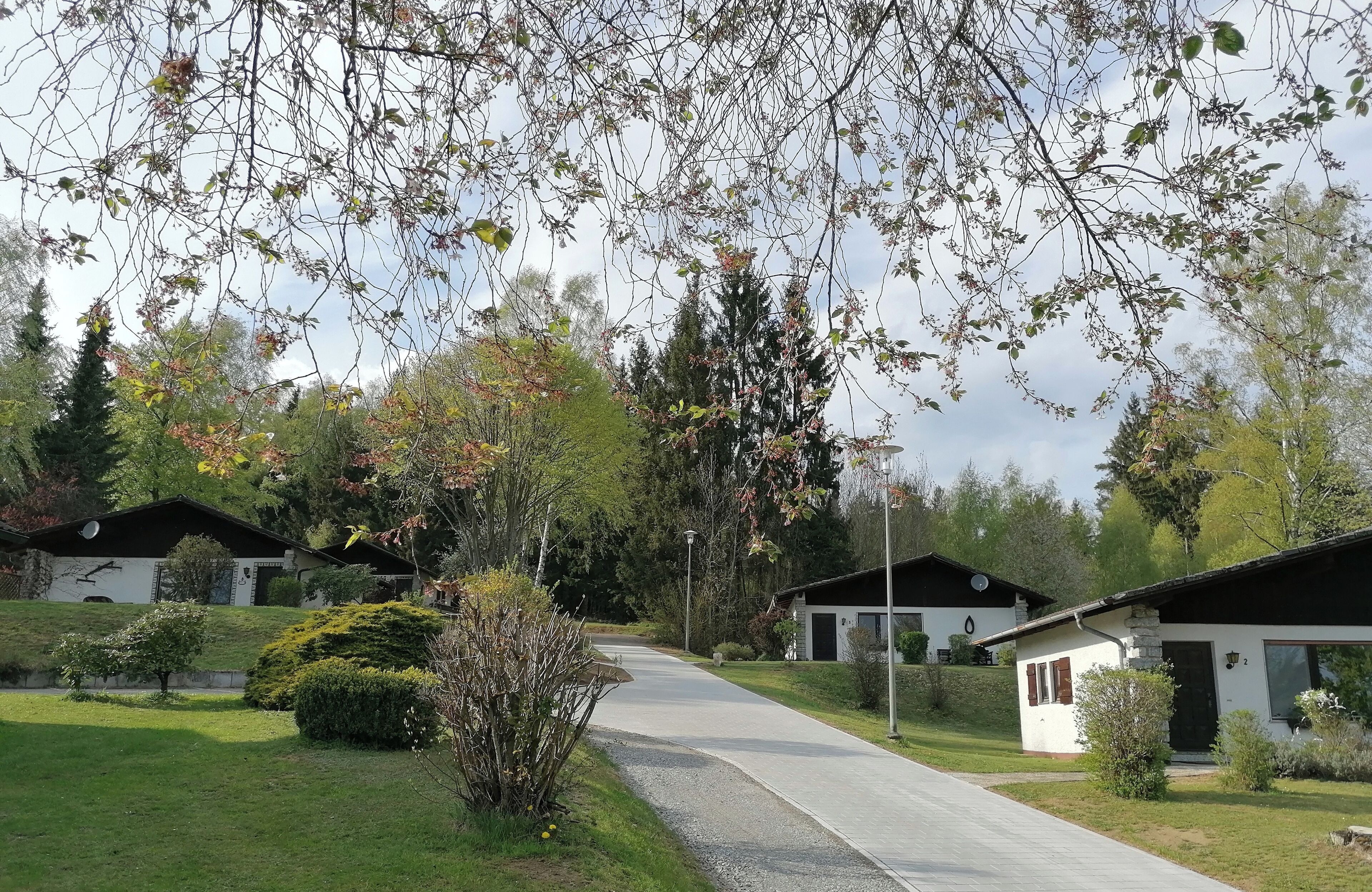 A residential area with houses, a paved road, and a grassy area.