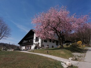 Exterieur