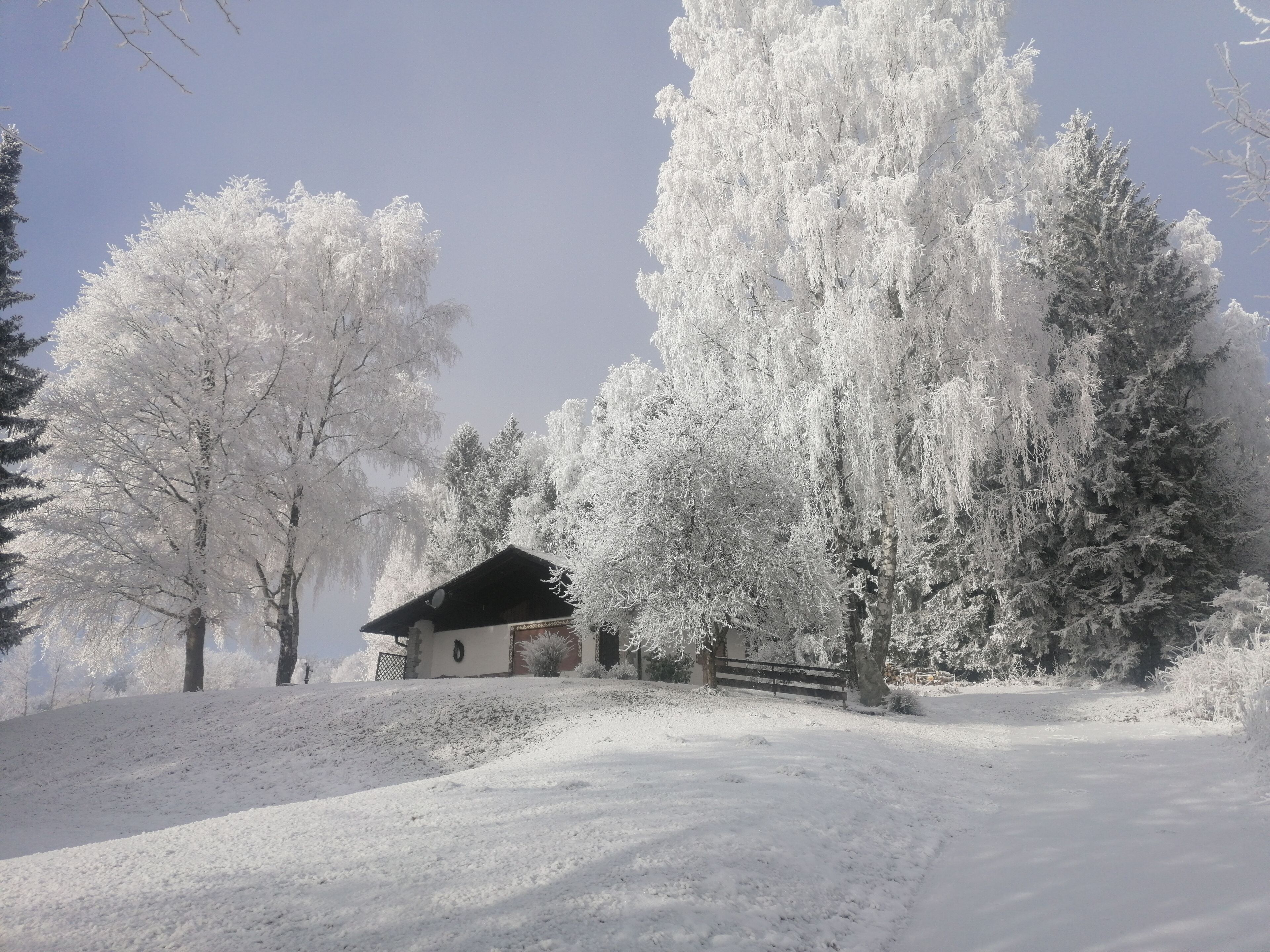 Paisagem coberta de neve com um pequeno edifício, possivelmente uma cabana, rodeado de árvores.