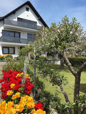 Exterior detail - Charming newly renovated apartment Greta in Mastershausen, in the heart of the Hunsrück (Mastershausen)