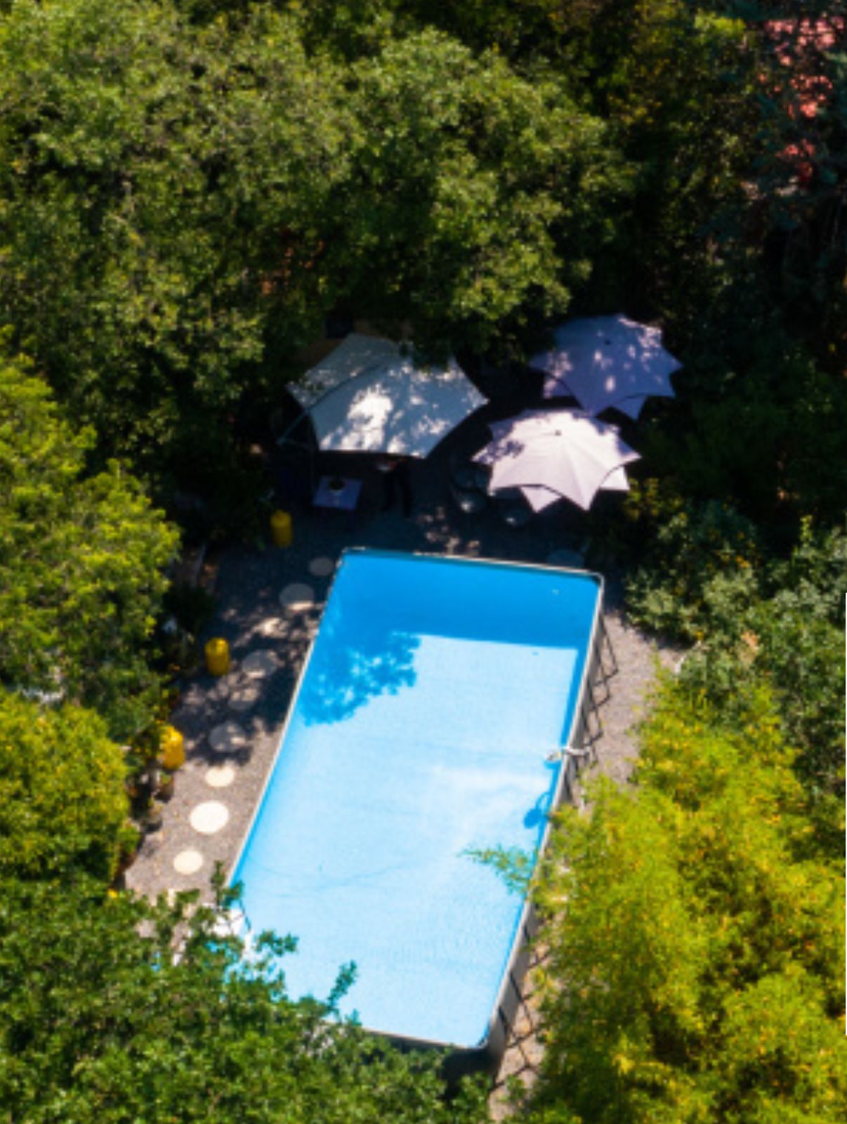 Vista aérea de una piscina rodeada de árboles y sombrillas.
