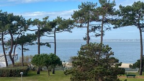 Un parc côtier agrémenté de pins, de bancs et offrant une vue sur la mer.