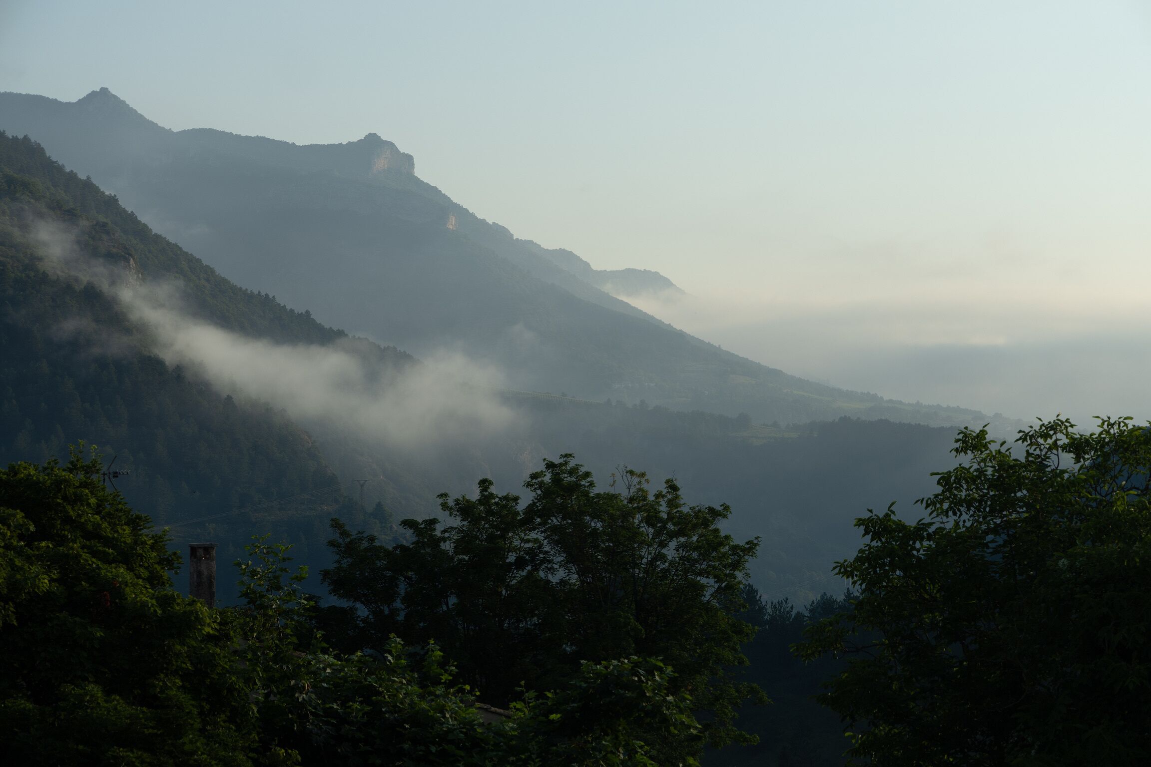 Un paysage montagneux, avec une forêt dense et une brume épaisse.