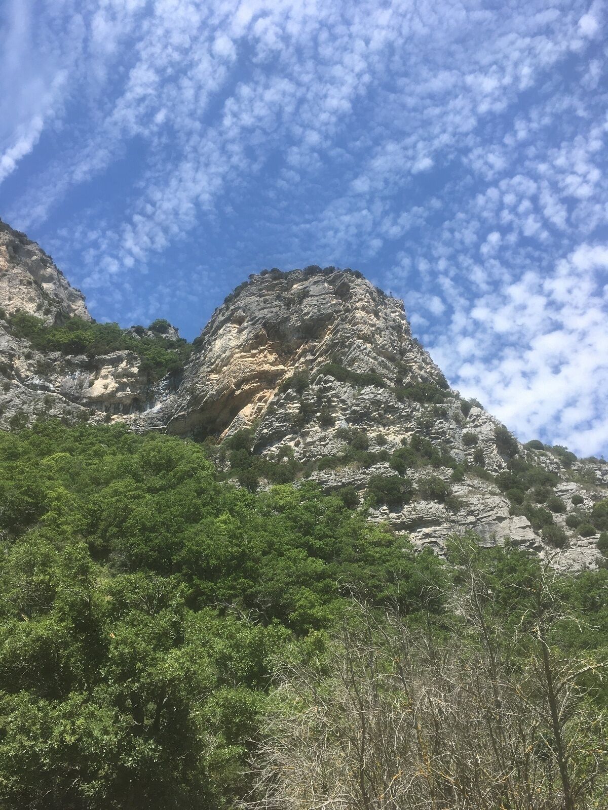 A mountainous landscape with rocky cliffs and dense green vegetation.