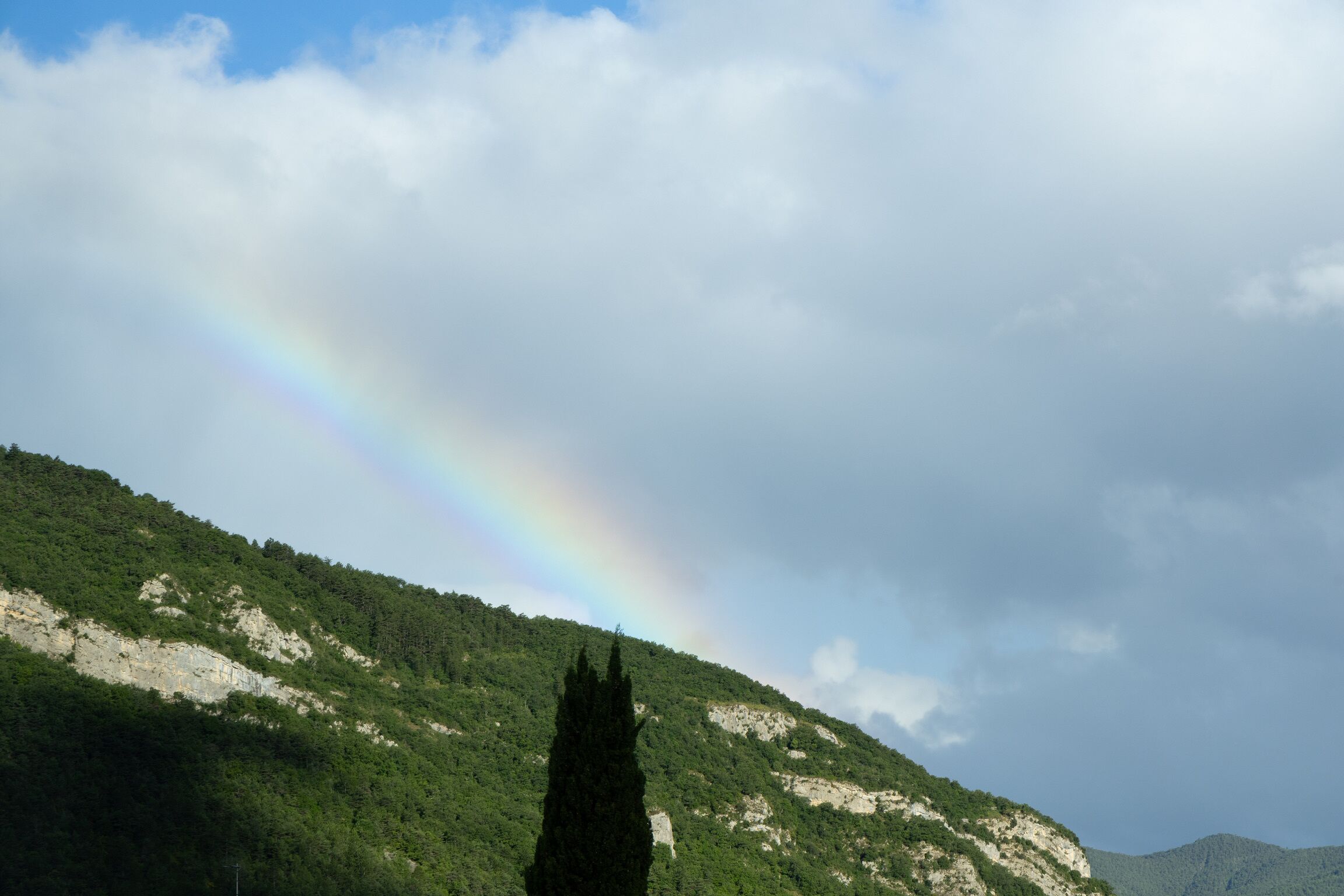 Paisatge de muntanya amb un arc de l'iris i un arbre destacat.