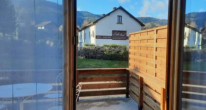 Chalet GRIZZLY at the foot of Ballon d'Alsace pets welcome