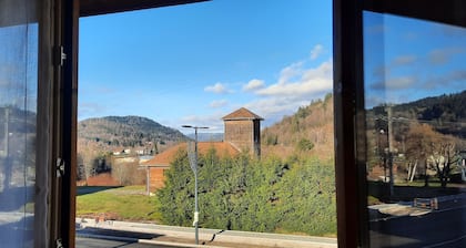 Chalet GRIZZLY at the foot of Ballon d'Alsace pets welcome