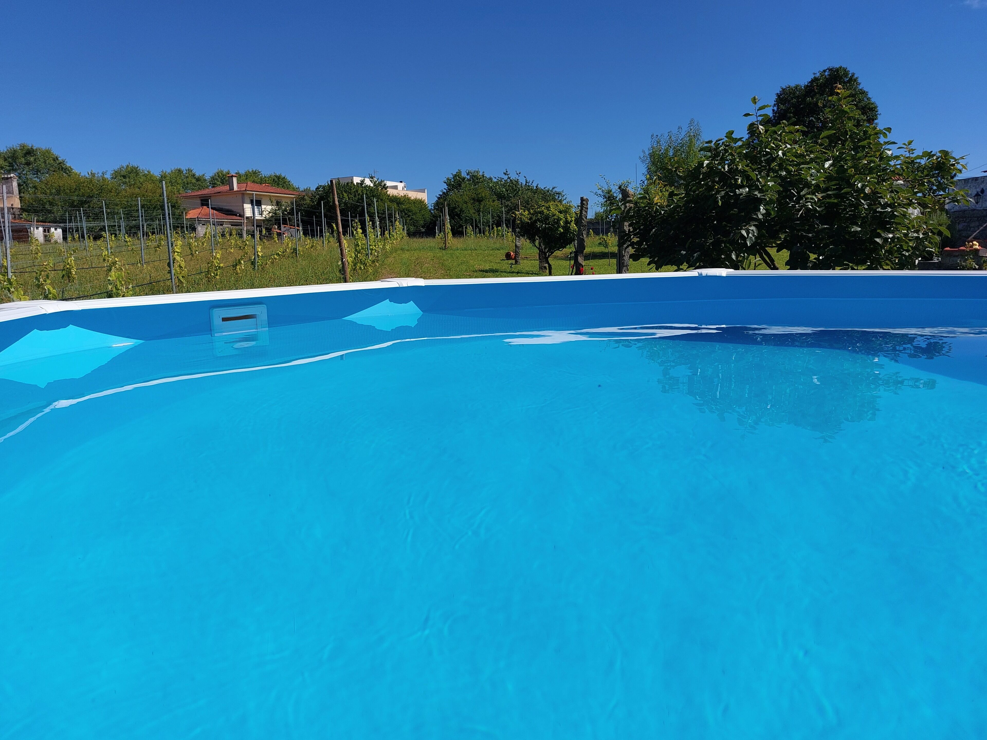 Una piscina azul cristalina con un borde sencillo, rodeada por una valla y árboles.