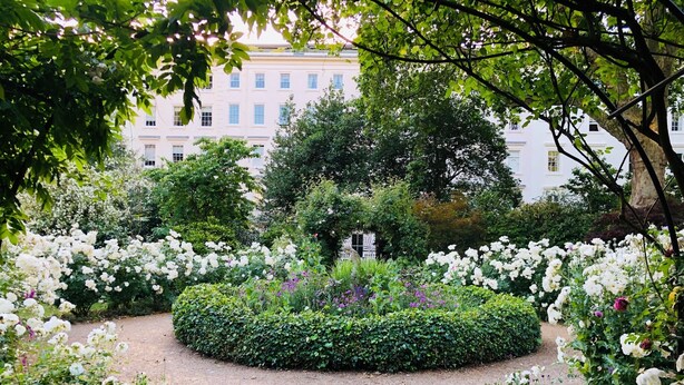 Un jardín con un camino de grava, rodeado de flores blancas y diferentes arbustos.