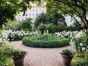 Un jardin avec un chemin de gravier, bordé de fleurs blanches et de divers arbustes.