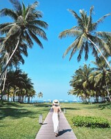 3 piscinas al aire libre, tumbonas