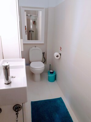 Dusche, Haartrockner, Handtücher, Seife