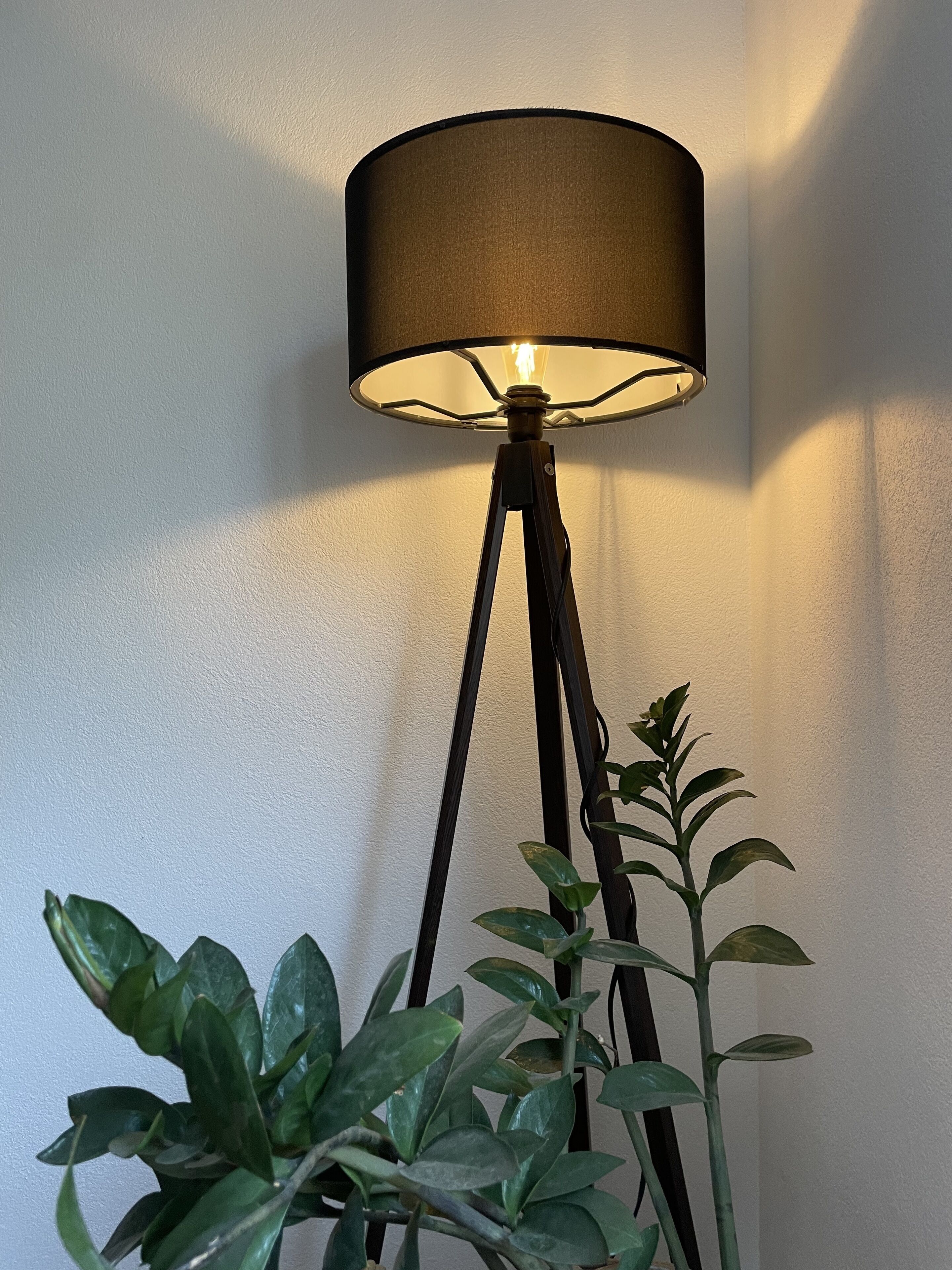 A floor lamp with a dark shade and a tripod base, positioned next to a potted plant with broad leaves.