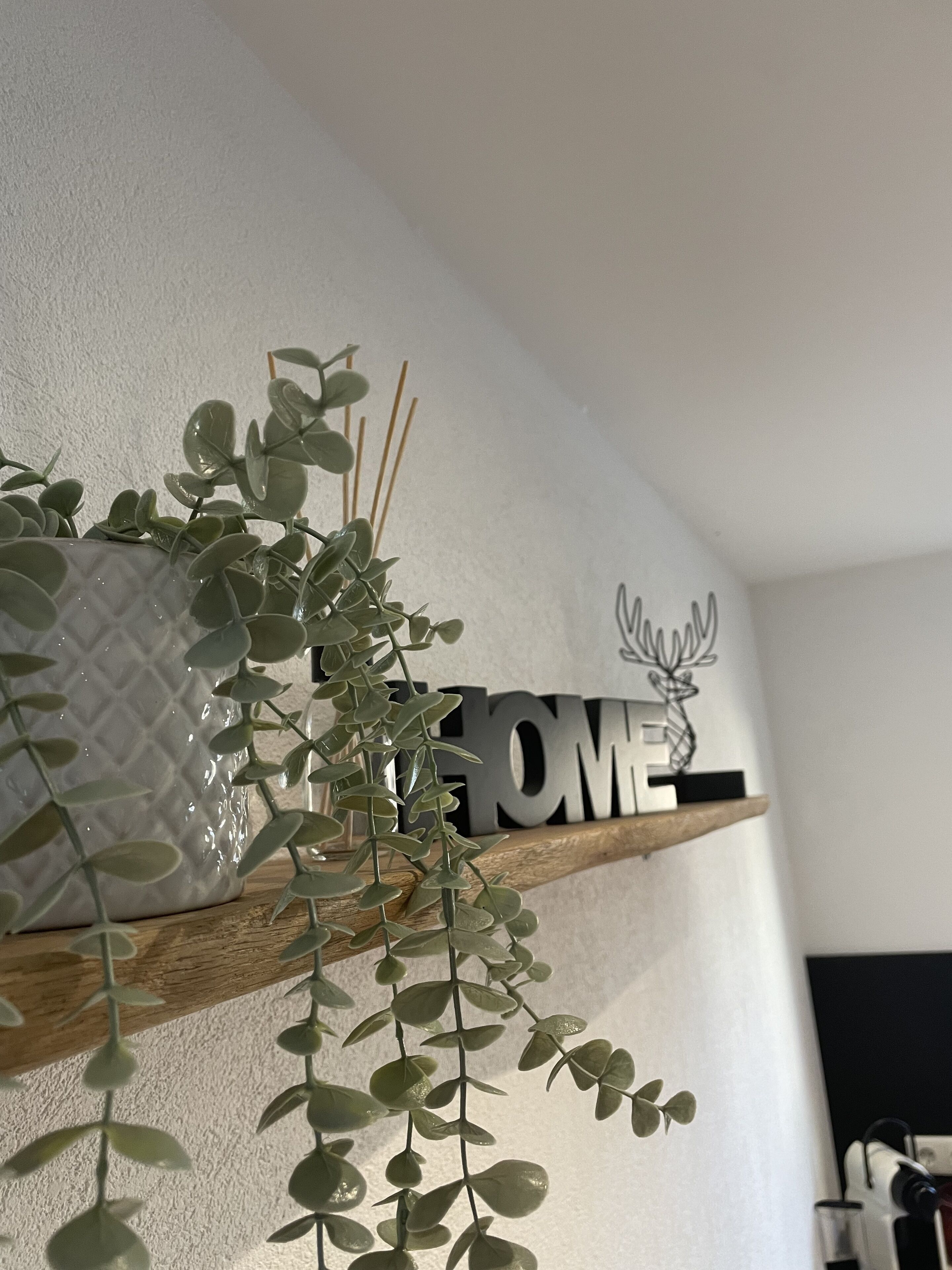 A shelf with a 'WELCOME' sign and a decorative plant.