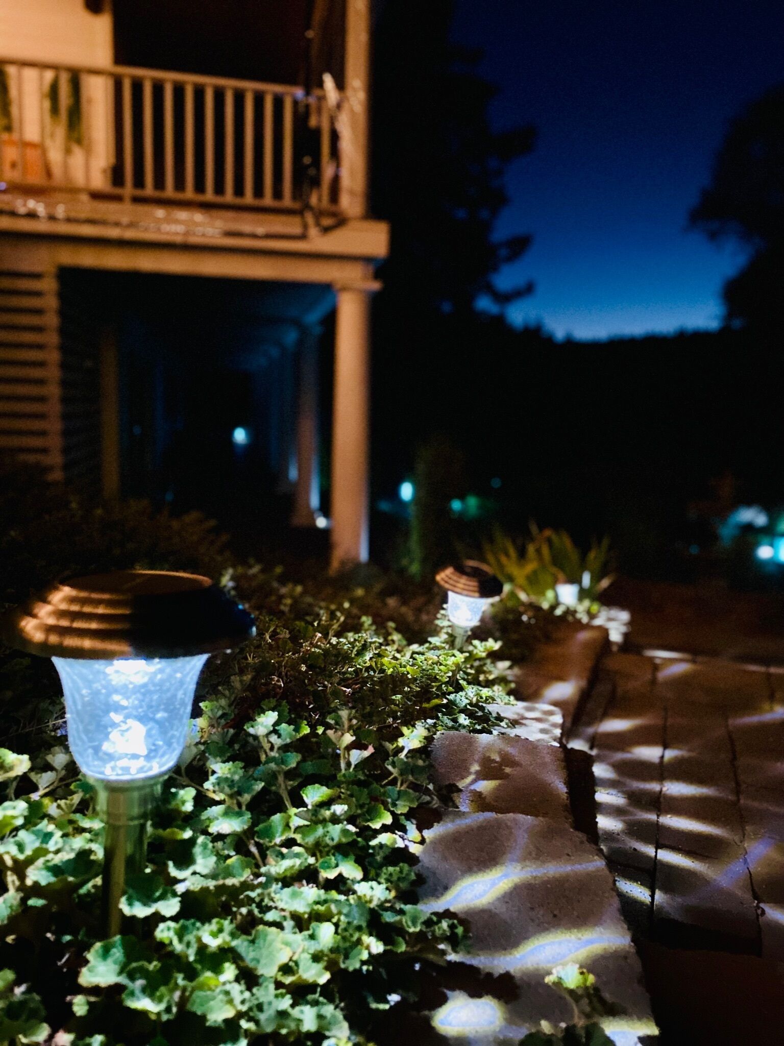 A pathway lined with plants and illuminated by a series of garden lights.