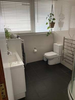 Ein kleines Badezimmer mit Toilette, Waschbecken und einer hängenden Pflanze.