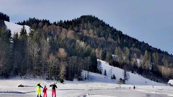 Wintersport/Ski