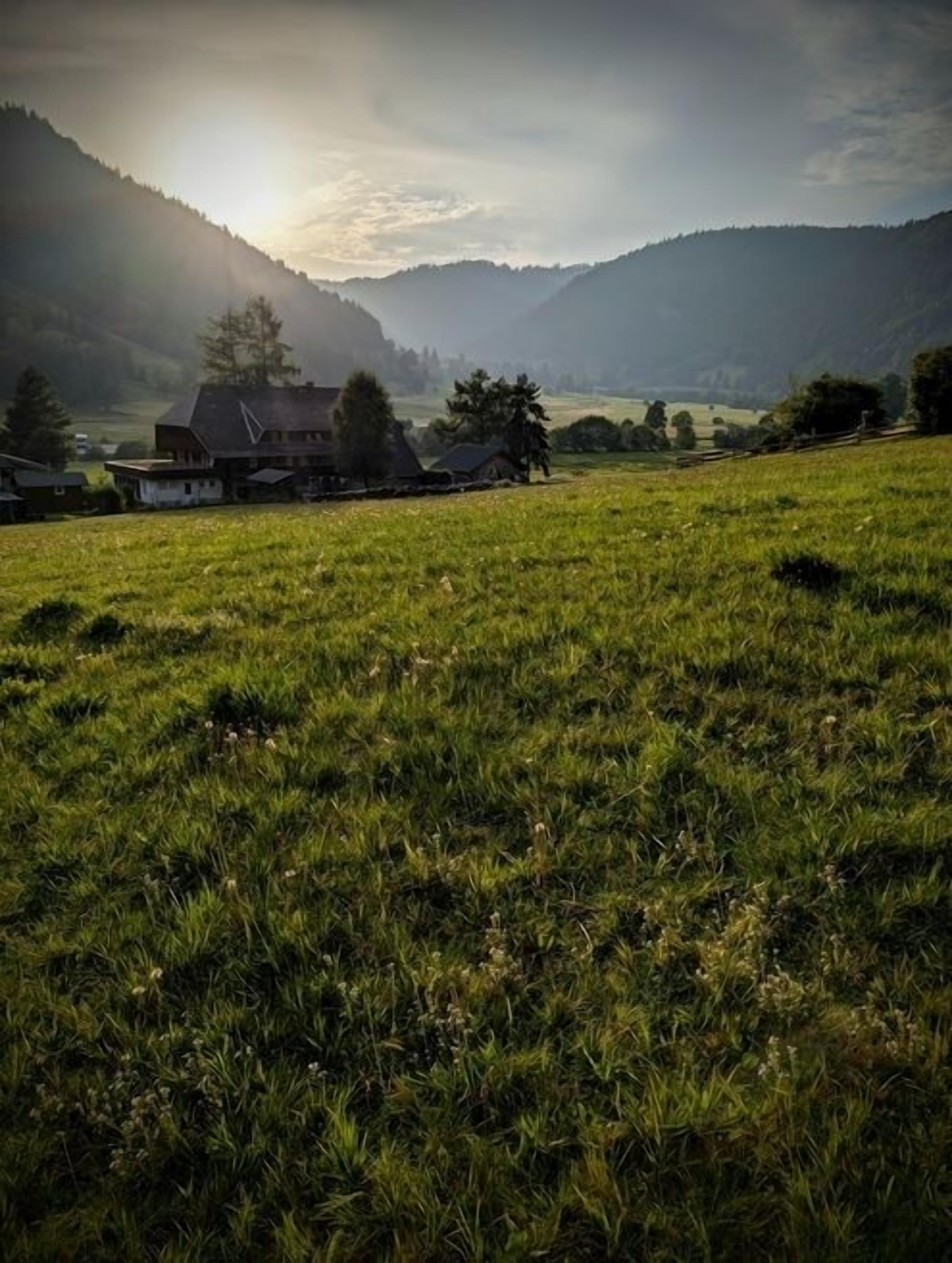 A rural landscape with a house and fields.