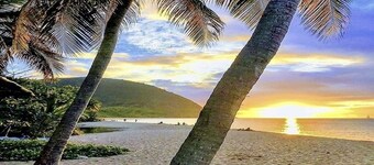 Gites Les Vanilles lush tropical garden swimming pool 800m from the beach