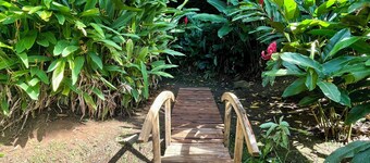 Gites Les Vanilles lush tropical garden swimming pool 800m from the beach