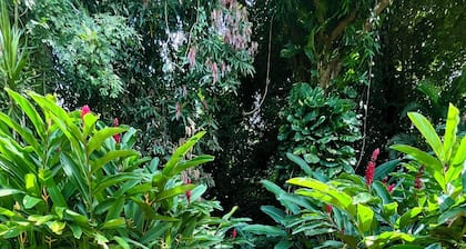 Gites Les Vanilles lush tropical garden swimming pool 800m from the beach