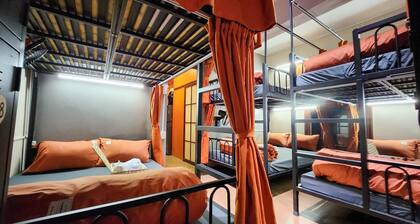 Queen Size Bunk Bed In Heart of Hanoi, Top Floor Hostel