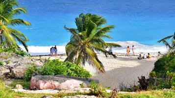 Playa en los alrededores