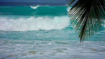 Playa en los alrededores