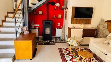 Smart TV, caminetto, lettore DVD, libri