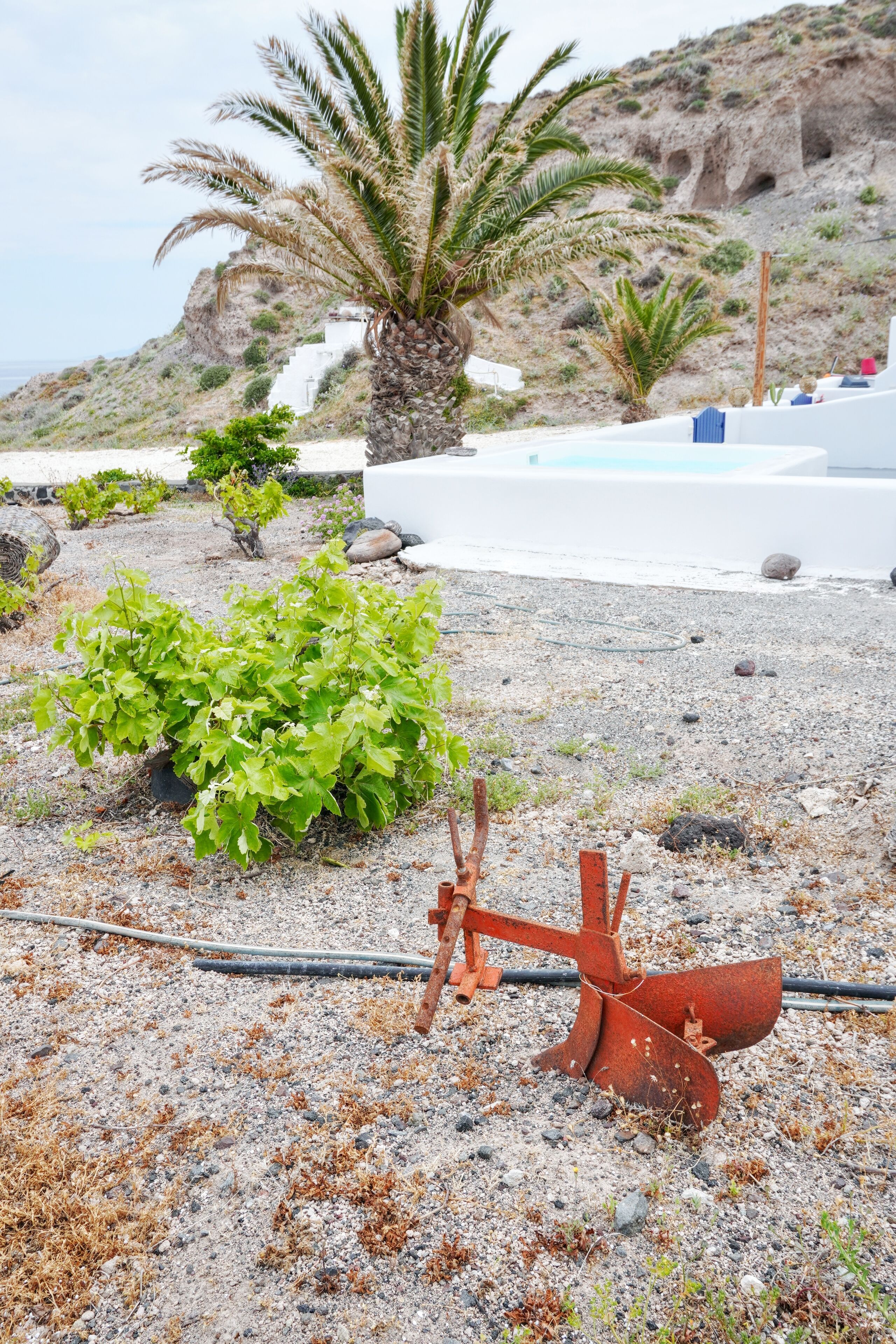 Una playa rocosa con una palmera, un edificio blanco y un objeto rojo en el suelo.