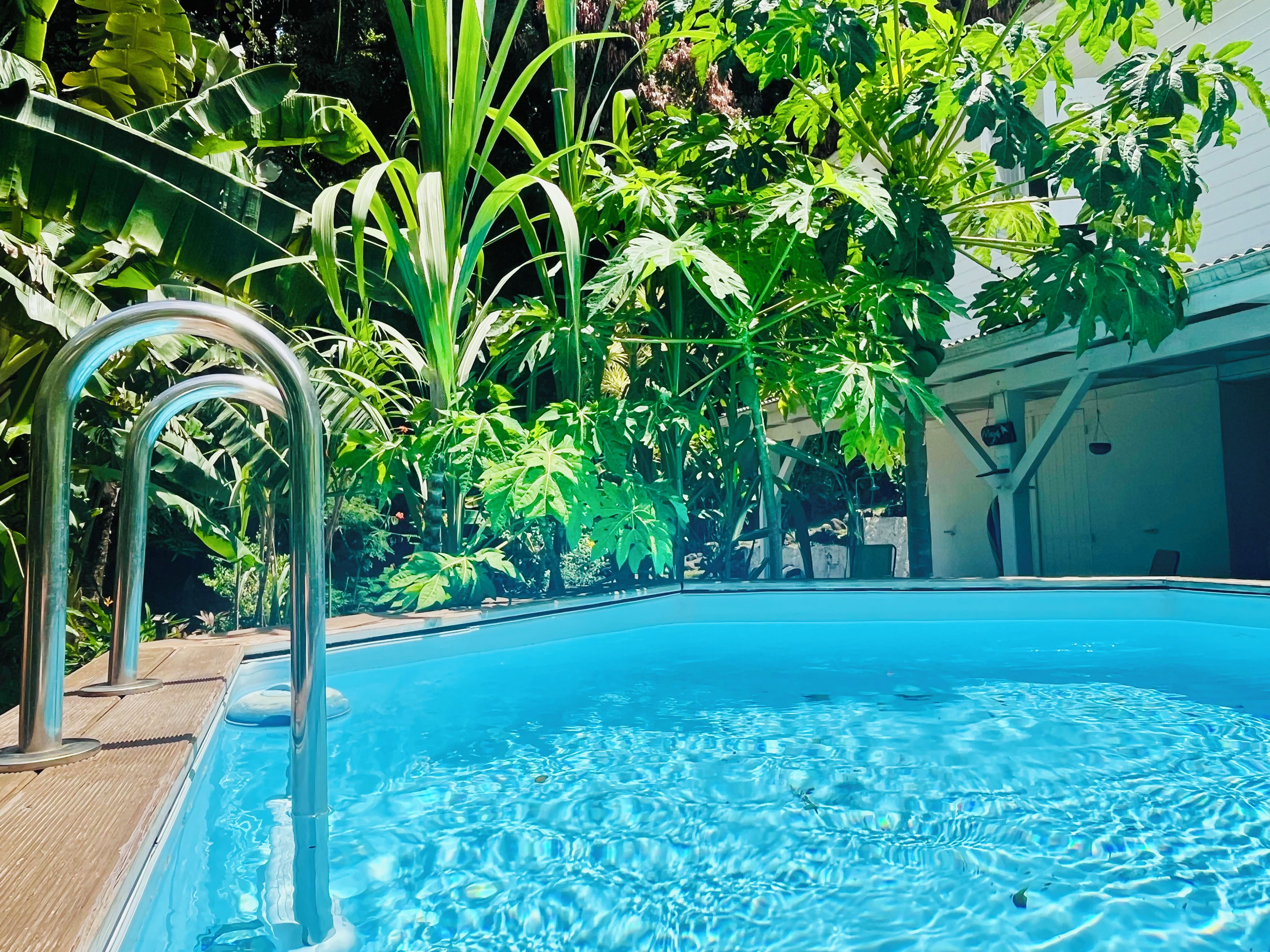 A swimming pool with clear water, surrounded by lush greenery and a wooden deck.