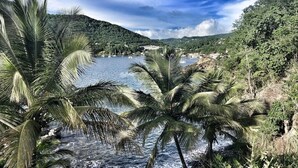 A coastal landscape with palm trees, a body of water, and a hilly backdrop. - Les Vanilles Gite in lush tropical setting, swimming pool 800m from the beach. (Deshaies)