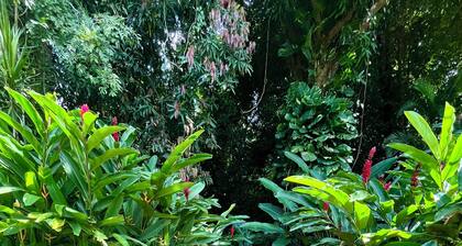 Les Vanilles Gite in lush tropical setting, swimming pool 800m from the beach.