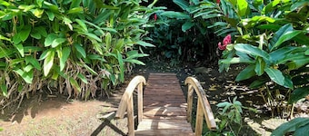 Les Vanilles Gite in lush tropical setting, swimming pool 800m from the beach.