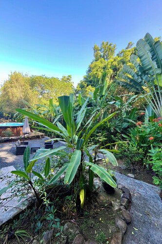 Les Vanilles Gite in lush tropical setting, swimming pool 800m from the beach.