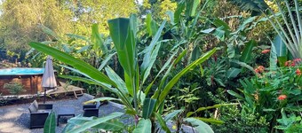 Les Vanilles Gite in lush tropical setting, swimming pool 800m from the beach.