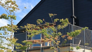 A modern building with a balcony, wooden deck, and a sign indicating a bicycle parking area.
