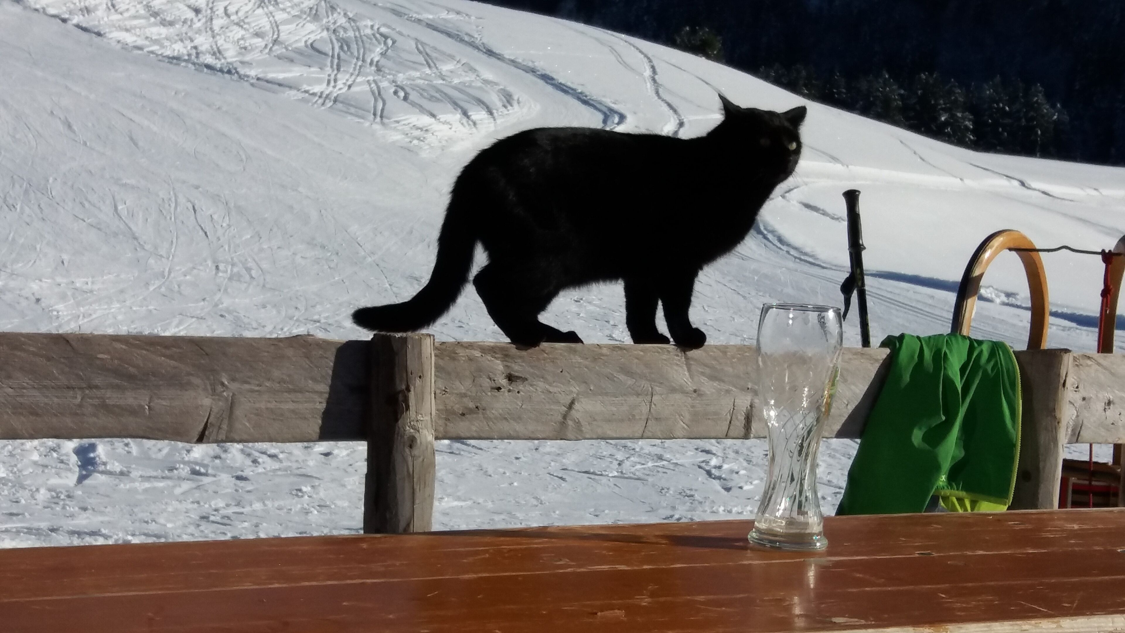 A black cat on a wooden bench with a glass and a green bag nearby, set against a snowy mountain backdrop.